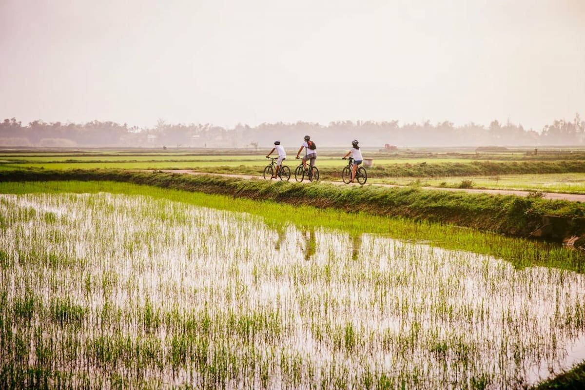 Hoi An Biking Tour Half Day
